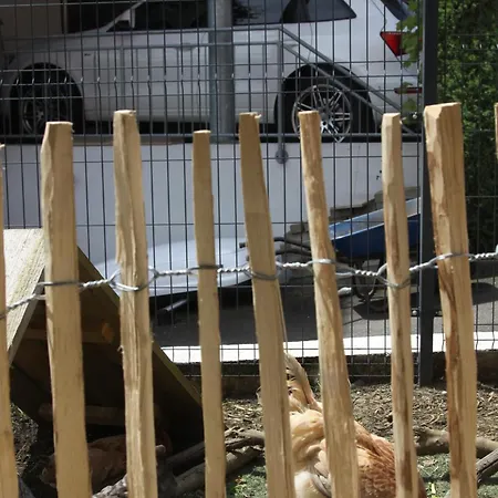 S'lena Haeusle * Dormettingen