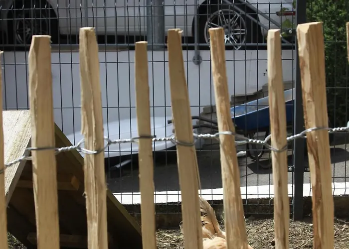 S'lena Haeusle * Dormettingen